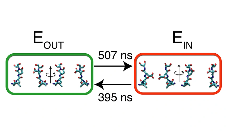 MCBeng - Selectivity in bacterial Na+ channels