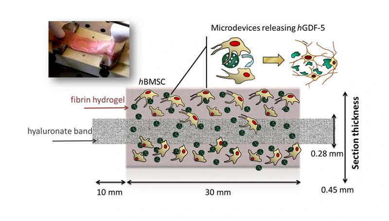 3D multphase